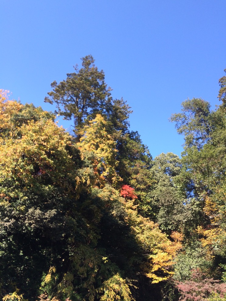 Photo 23-11-2014 11 32 31