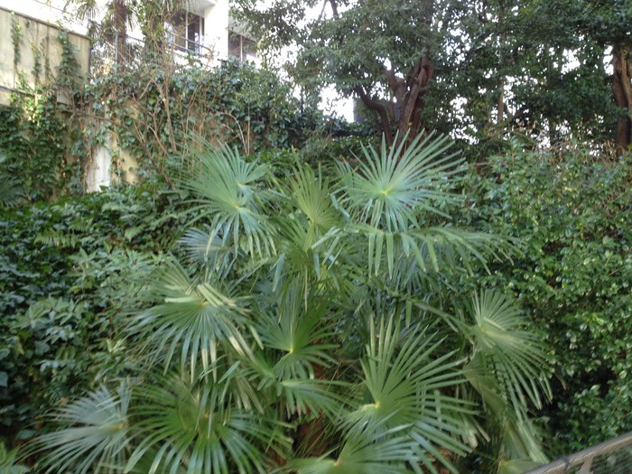 Photo 26-01-2013 14 49 32