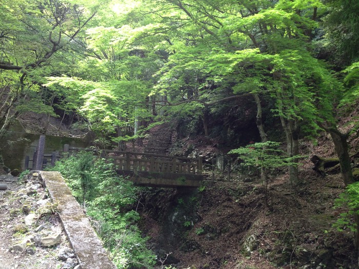 Photo 27-04-2013 12 10 53