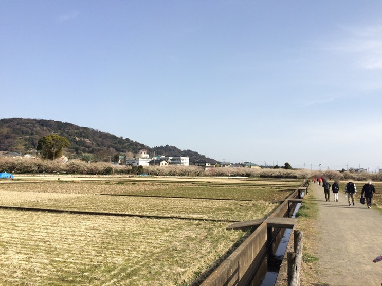 Photo 28-02-2015 14 34 02