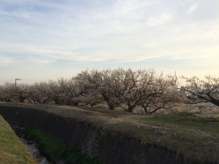 Photo 28-02-2015 16 49 09