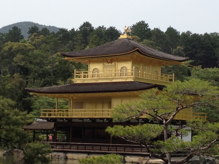 Photo 29-04-2012 13 37 40