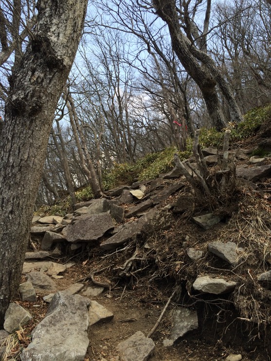 Photo 29-04-2015 10 48 34