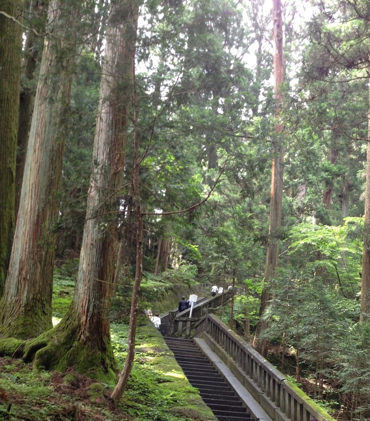 Photo 29-06-2013 13 44 33