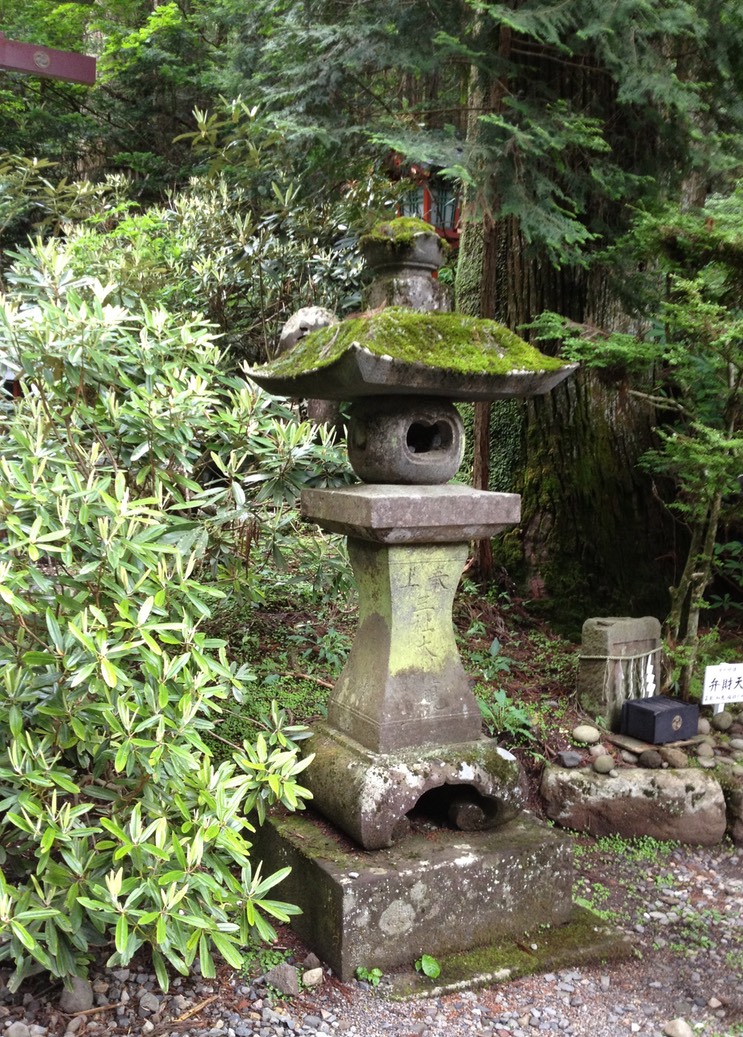 Photo 29-06-2013 14 22 02