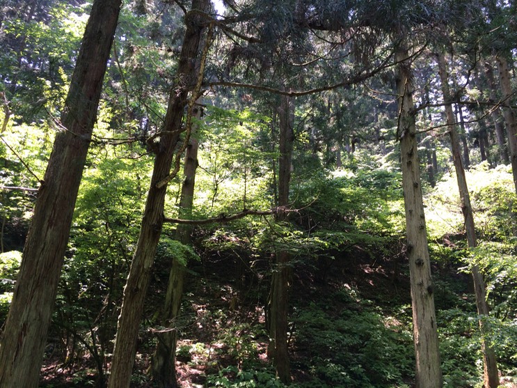 Photo 31-05-2014 11 37 10