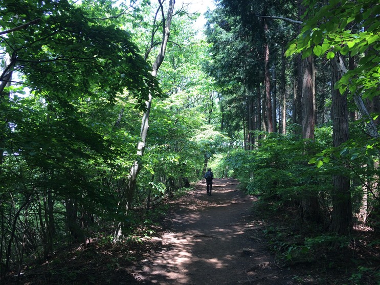 Photo 31-05-2014 12 47 26